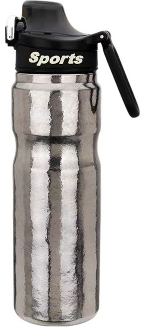 TEMPEST 純鈦保溫運動水壺, 鈦本色, 1個, 650ml