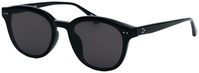 에비수 선글라스 EV8809