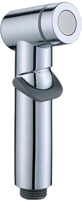 Rich Store 俐落現代浴室清潔馬桶沖洗免治多功能噴槍 ABS噴槍 B 6 x 15 cm, 銀色, 1個