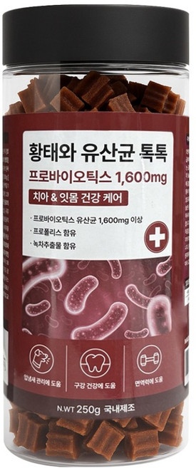 야아부르니 강아지 간식 황태와 유산균 톡톡 가수분해 영양간식, 250g, 1개, 치아 앤 잇몸