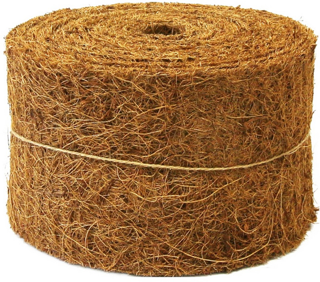 코아테이프 10cm x 10m, 1개