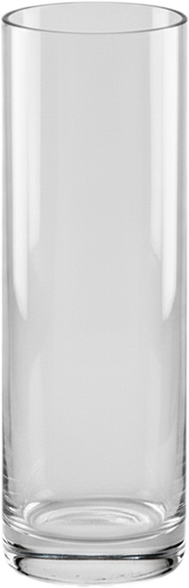 이비즈 대형 수경 재배 물꽂이 화병, 투명