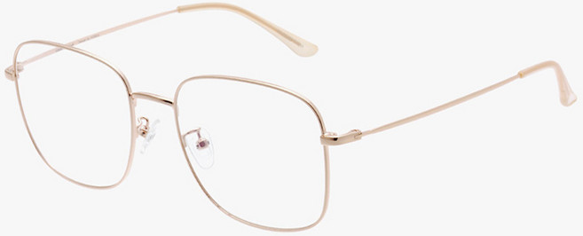 LookOptical 方形金屬眼鏡框 LC5863