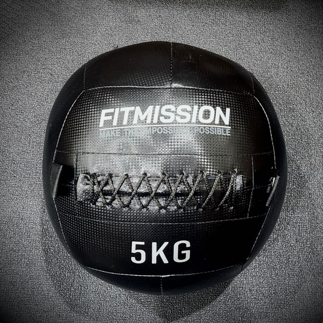 피트미션 월볼, 1개, 5kg, 블랙