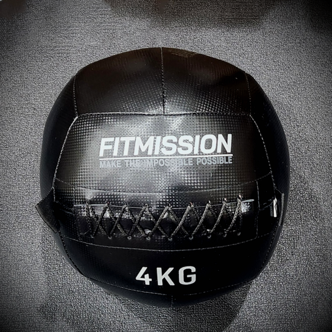 피트미션 월볼, 1개, 4kg, 블랙