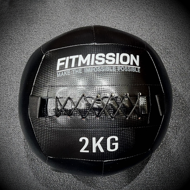 피트미션 월볼, 1개, 2kg, 블랙
