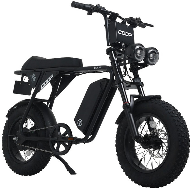 에이유테크 엑스트랙 몬스터 쿱 48V 20Ah 자토바이 고객직접설치, 블랙, 스틸