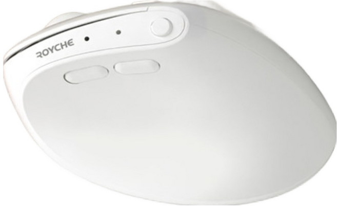 로이체 휴대용 인체공학 저소음 블루투스 미니 버티컬 무선 마우스 RX-650V, 화이트, RX-650V WH