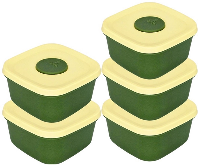 니콜레타 실리콘 냉동밥 전자레인지 소분용기 200ml, 5개, 그린