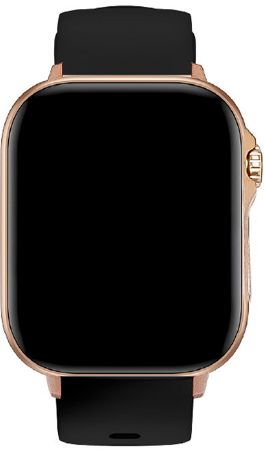 Ergotech 人因科技 GPS定位心率血氧藍牙通話腕錶 SW320, 藍牙 + USB, 2.13吋, 黑爵金