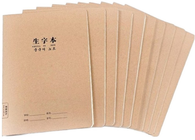 빅마운트앤컴퍼니 가로넘김 양면 한어병음표 중국어 노트 B5, 10개, 미색