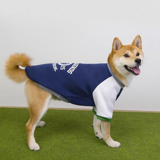 Coco studio 狗狗 Coco Unifriends 大型犬 T恤, 1個, 2 海軍藍