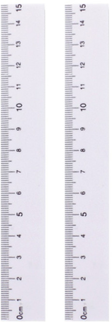 투데이리빙 심플 양면 눈금 자 15cm CD_OST_AL101Q, 화이트, 2개
