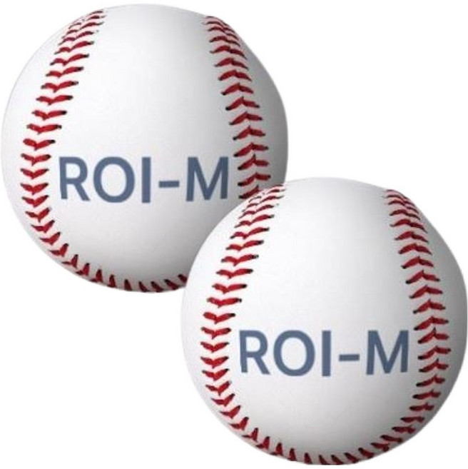 로이마스터 소프트 연식 야구공, 2개, ROIM7
