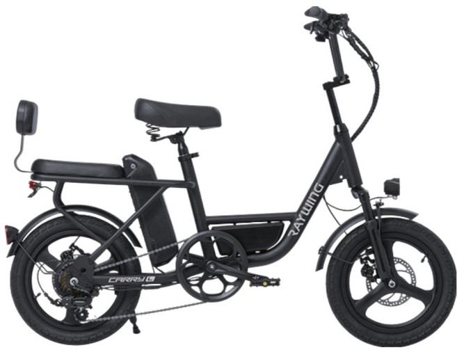 레이윙 캐리 라이트 컴팩트 전기자전거 삼성셀 배터리 25Ah 고객직접설치, 팬텀블랙, 스틸