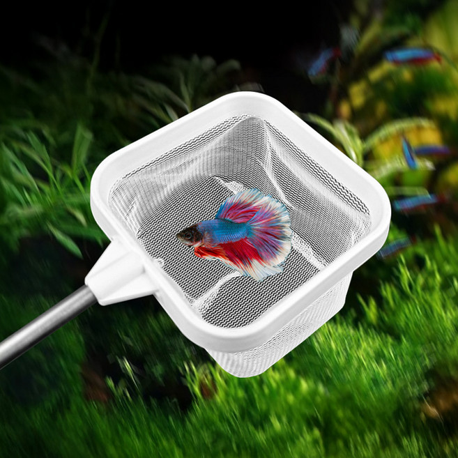 레몽크리프 수족관 스테인리스 스틸 3D 새우 어항뜰채 화이트, 1개