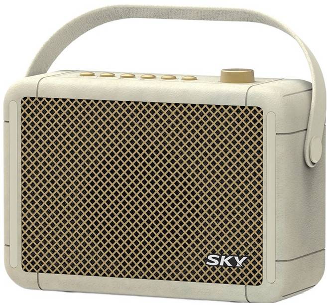 SKY 휴대용 붐 A3 블루투스 6.0 스피커 10W, IM-A3, 베이지