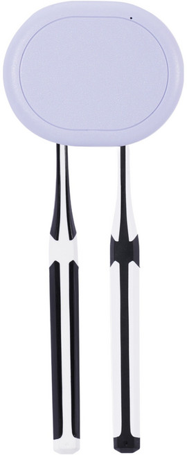 PLEIGO 벽걸이 듀얼 UV C LED 충전형 칫솔 살균기, 퍼플, TS120