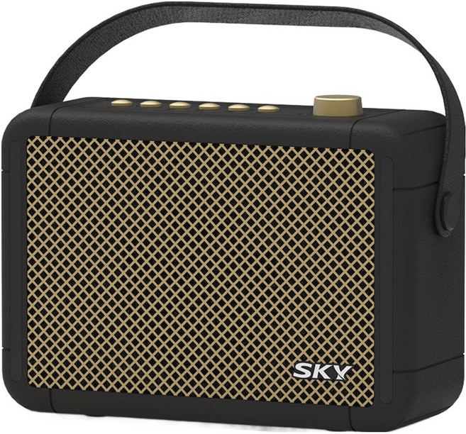 SKY 휴대용 붐 A3 블루투스 6.0 스피커 10W, IM-A3, 블랙