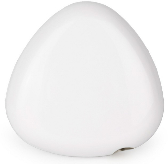 PLEIGO UV C LED 휴대용 충전식 조약돌 칫솔 살균기, 화이트, TS110