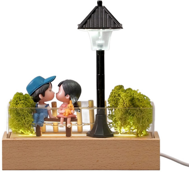 morningscent 스칸디아모스 피규어 테라리움 가든 커플 USB 무드등 DIY 세트, 혼합색상