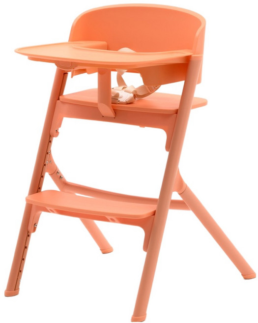 Hoo 모던 하이체어 이유식 식탁 의자, 코랄
