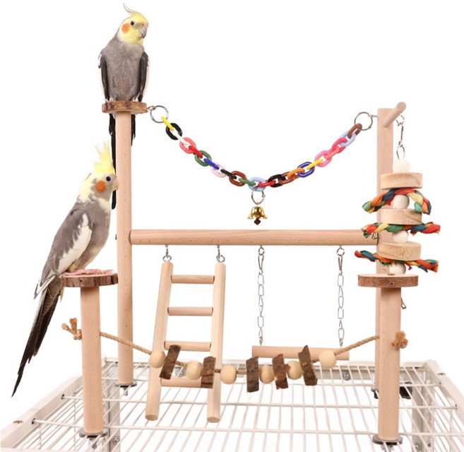 칠시 앵무새 컬러브릿지 원목 놀이터, 우드, 1개