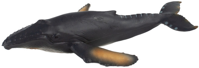 모모스 혹등고래 피규어, 1개