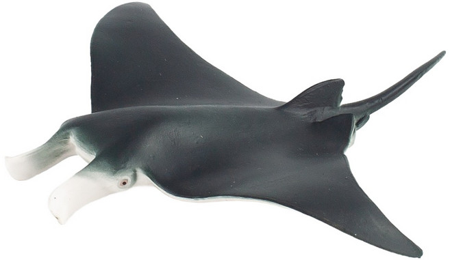 모모스 만타가오리 피규어, 1개