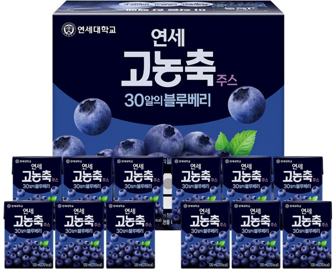 연세유업 고농축주스 30알의 블루베리, 12개, 120ml