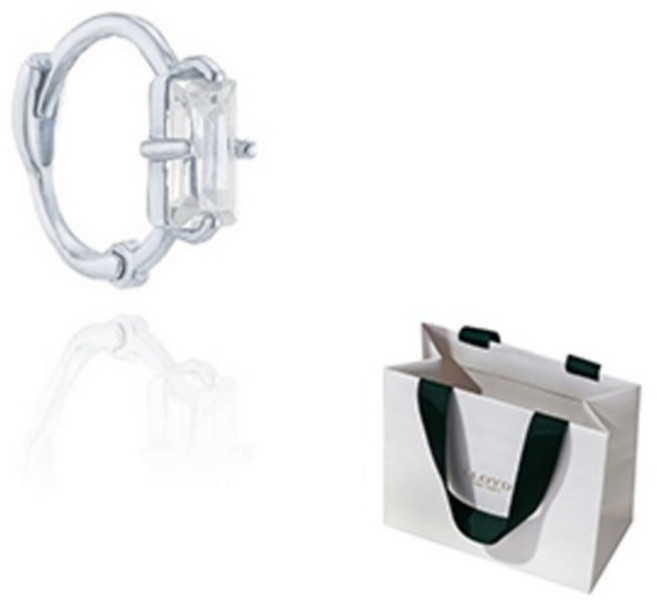 로이드 여성용 14K 클래식 바게트 스톤 골드 원터치 반쪽 귀걸이 LOFP1009G + 쇼핑백