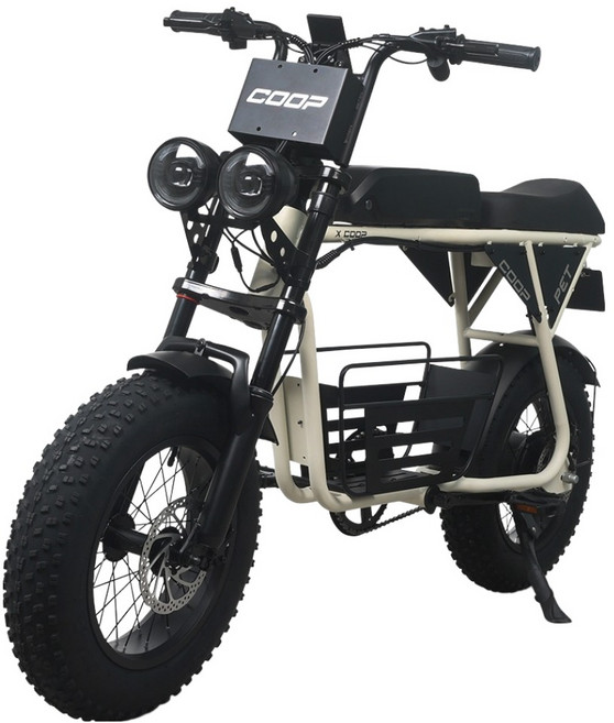 에이유테크 엑스트랙 쿱펫 10Ah 전기 자전거 고객직접설치, 아이보리