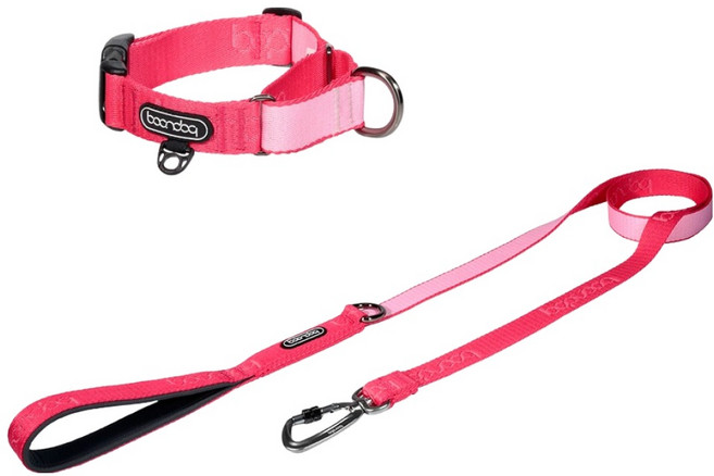 분독 강아지 오리지널 리쉬 리드줄 1.4m + 마틴게일 오리지널 목줄 세트, 스트로베리, 1세트