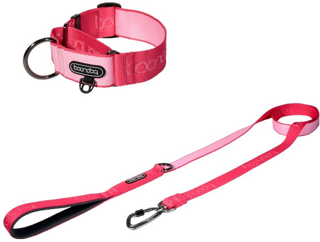 분독 강아지 오리지널 리쉬 리드줄 1.4m + 마틴게일 와이드 목줄 세트, 스트로베리, 1세트