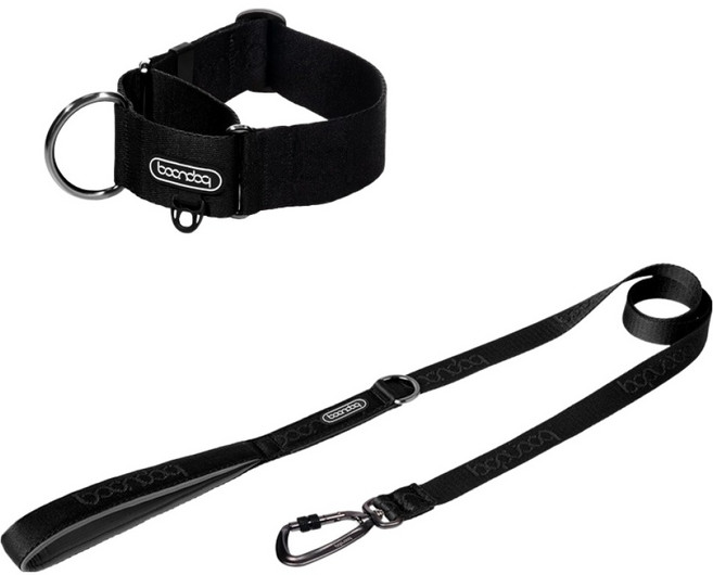 분독 강아지 오리지널 리쉬 리드줄 1.4m + 마틴게일 와이드 목줄 세트, 올블랙, 1세트