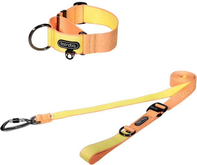 분독 강아지 플레이리쉬 롱리드줄 2.5m + 마틴게일 와이드 목줄 세트, 피치, 1세트