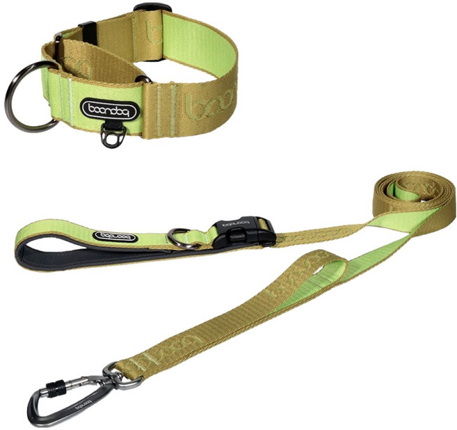 분독 강아지 플레이리쉬 롱리드줄 2m + 마틴게일 와이드 목줄 세트, 키위, 1세트