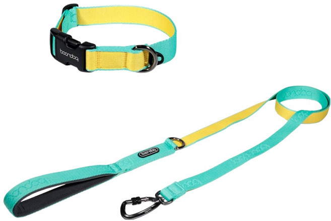 분독 강아지 오리지널 리쉬 리드줄 1.4m + 오리지널 목줄 세트, 민트레몬, 1세트