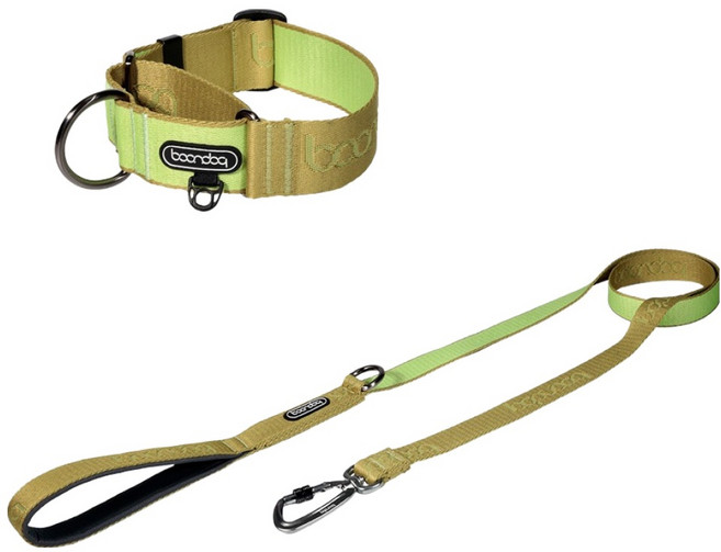분독 강아지 오리지널 리쉬 리드줄 1.4m + 마틴게일 와이드 목줄 세트, 키위, 1세트