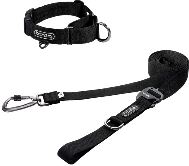 분독 강아지 플레이리쉬 롱리드줄 3.2m + 마틴게일 오리지널 목줄 세트, 올블랙, 1세트