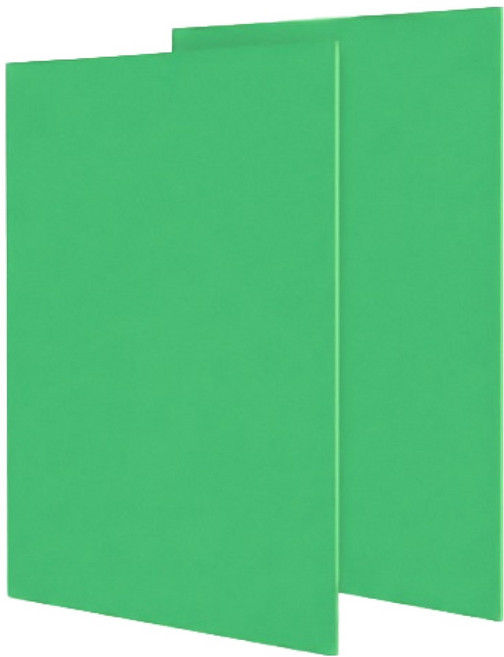 OON 포맥스판 초록 1T, 2개