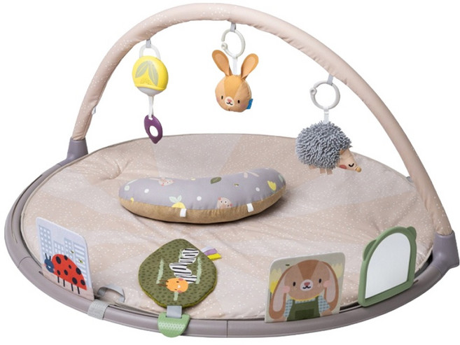 taf toys Urban Garden 活動健身架 寶寶體育館, 混合顏色, 1個