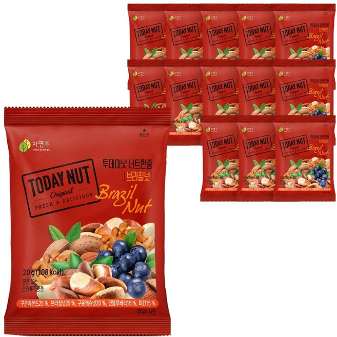 투데이넛 너트한줌 브라질넛, 20g, 14개