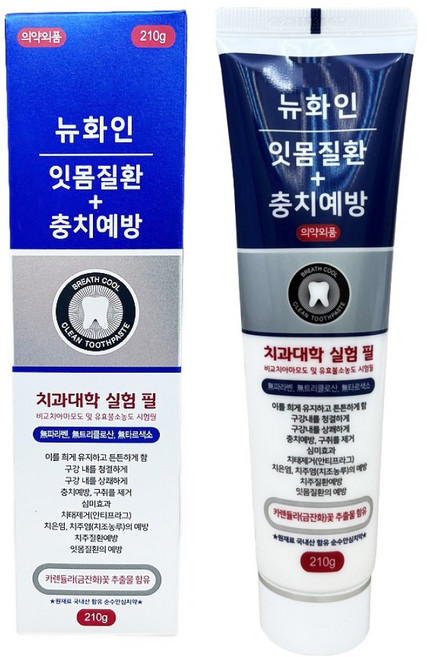 뉴화인 잇몸질환 플러스 충치예방 치과대학 실험 필 치약, 210g, 1개