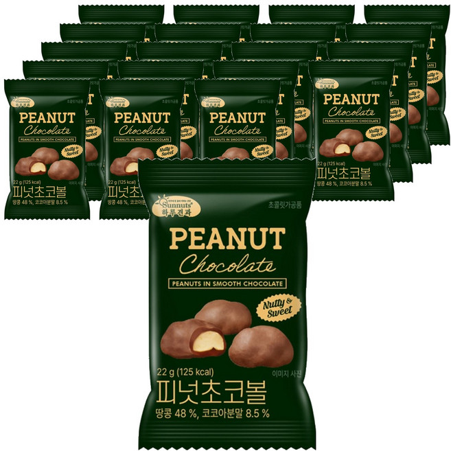 하루견과 피넛 초코볼, 22g, 20개