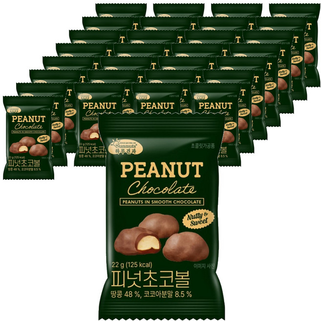 하루견과 피넛 초코볼, 22g, 30개