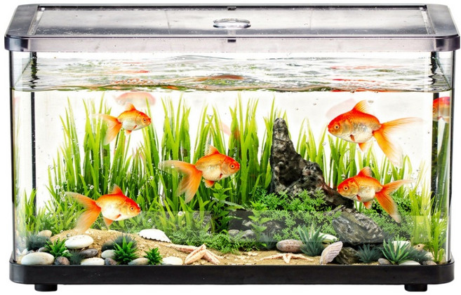MIMINEAQUA 桌上型療癒透明魚缸, 黑色, 1個
