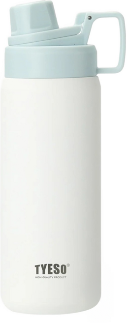 TYESO 泰碩 304不鏽鋼磨砂系列運動保溫水壺, 雪峰白, 750ml, 1個