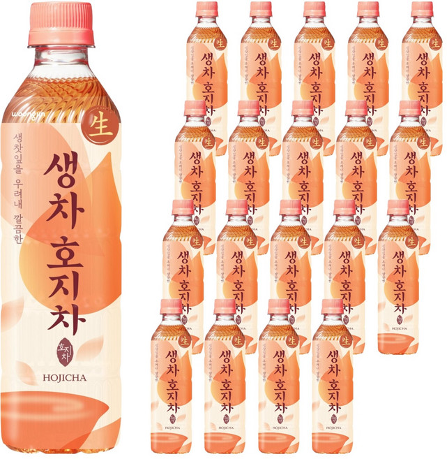 웅진 생차 호지차, 500ml, 20개