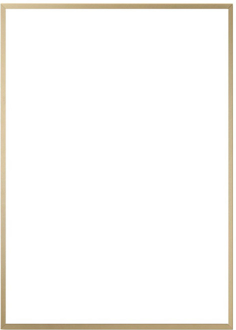 알루미늄 프레임 고급 인테리어 액자, 1개, 샴페인골드